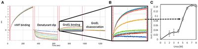 The Chaperonin GroEL: A Versatile Tool for Applied Biotechnology Platforms